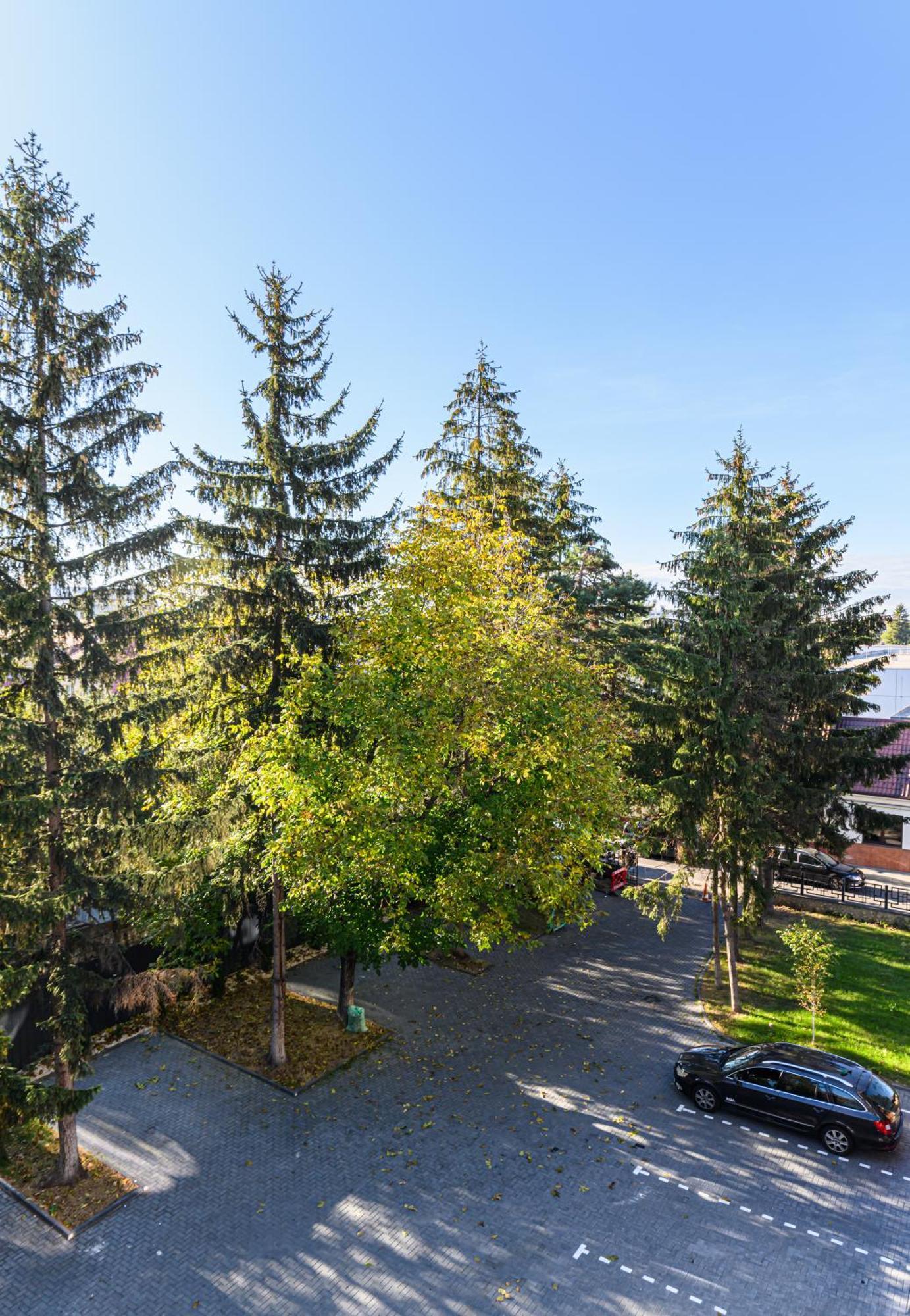Koa - Davino Aparthotel Brasov Ruang foto